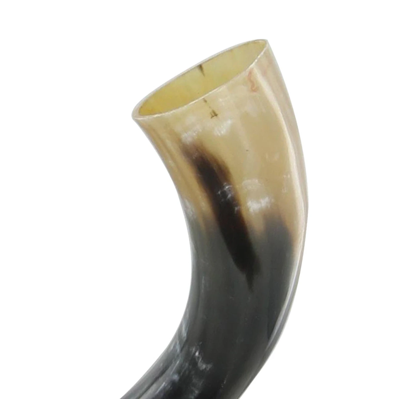Medieval All Natural Norse Saga Drinking Horn - Image 3